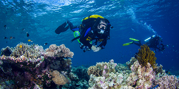 CCR long dives on Wakatobi's reefs_Steve Miller
