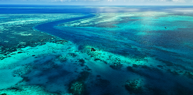 By late 1997 large areas of reef track were placed under official protection and the Collaborative Reef Conservation program was expanded to encompass 20 kilometers of reef. Photo by Didi Lotze