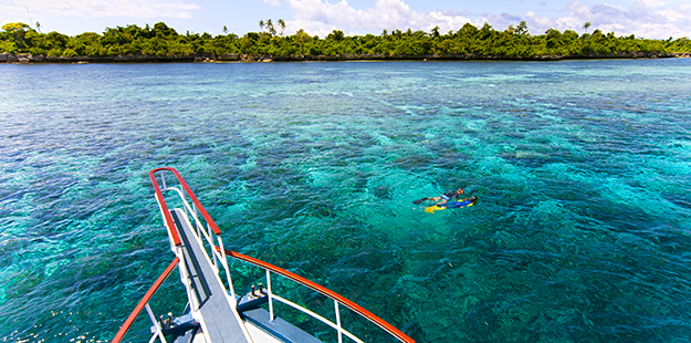 Snorkel excursions on a private boat are a popular option. Photo by Walt Stearns
