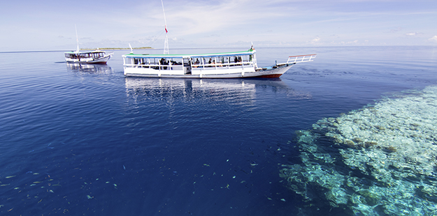 Wakatobi's dive boats are very spacious and provide ample protection from the elements, while convenient schedules and returns to the resort between dives offer parents opportunities to check in on the kids and still not miss out on any of the dives. Photo by Walt Stearns
