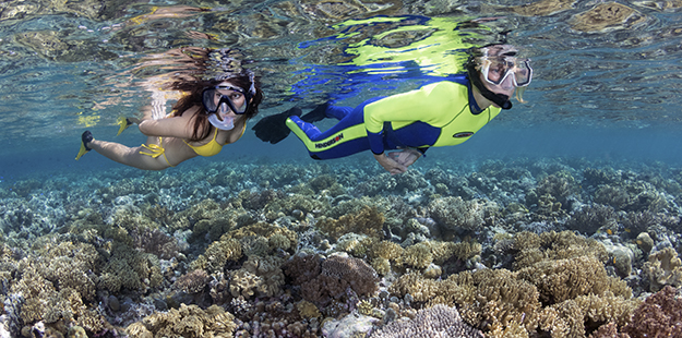 snorkelers-on-the-house-reef-ws