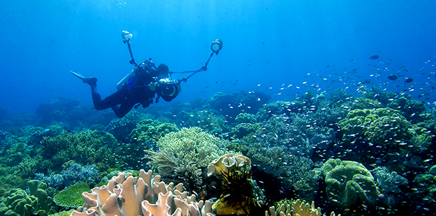 The flexibility of a private dive boat allows photographers to get the most out of each dive.