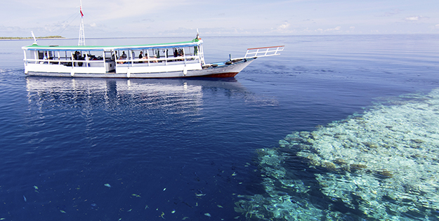 Consistently calm seas enable to provide divers and snorkelers with comfortable rides and easy entries and exits to dive boats. 