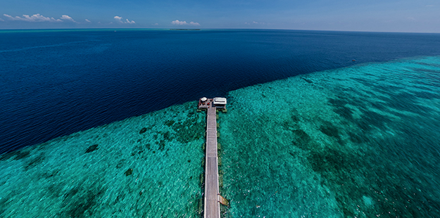 Wakatobi's House Reef and surrounding reefs are some of the healthiest on the planet.