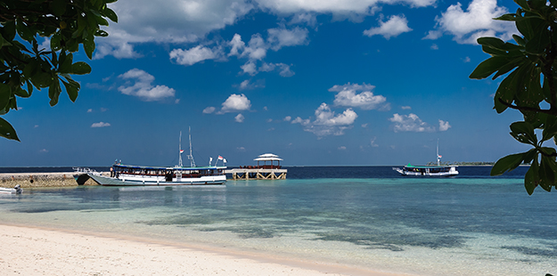 Step on the Wakatobi Resort jetty and your journey is complete. Now your holiday begins, it's time to relax and dive. 