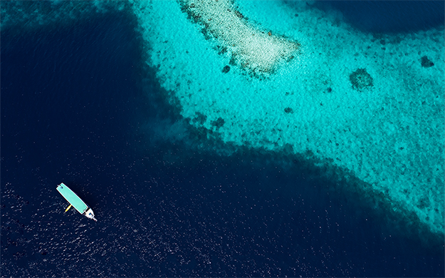 No-take areas encompassing some 20 kilometers of reef surrounding the resort are recognized and respected by local fishermen, who understand these area's roles in replenishing the reefs.