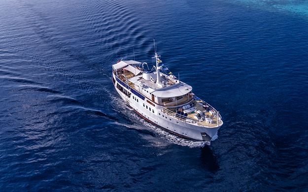 Pelagian liveaboard dive boat takes a max ten divers. A crew of twelve includes an executive chef and stewards, adding fine dining and five-star service to the itinerary. 