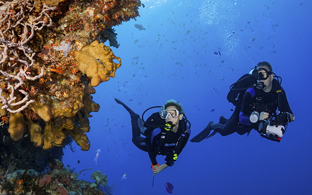 Many sites close to Wakatobi Resort feature underwater cliffs that butt up to beginner-friendly shallows, creating an easy opportunity to experience the visual thrills of wall diving. Photo by Walt Stearns