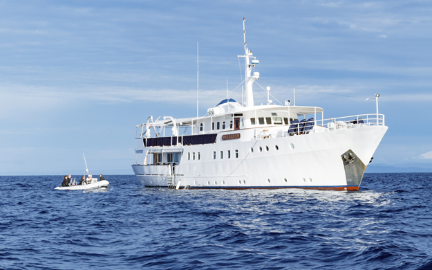 Why not combine a resort stay with a cruise aboard our 35-meter luxury live-aboard? Pelagian Dive Yacht cruises to the outer reefs and atolls of the Wakatobi Regency and to the southern coast of Buton Island. Photo by Walt Stearns
