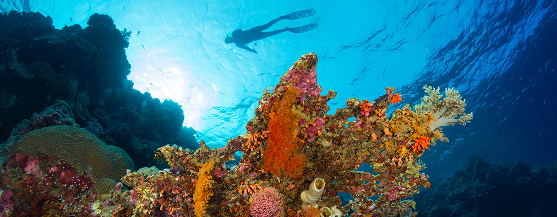 Going solo at Wakatobi.