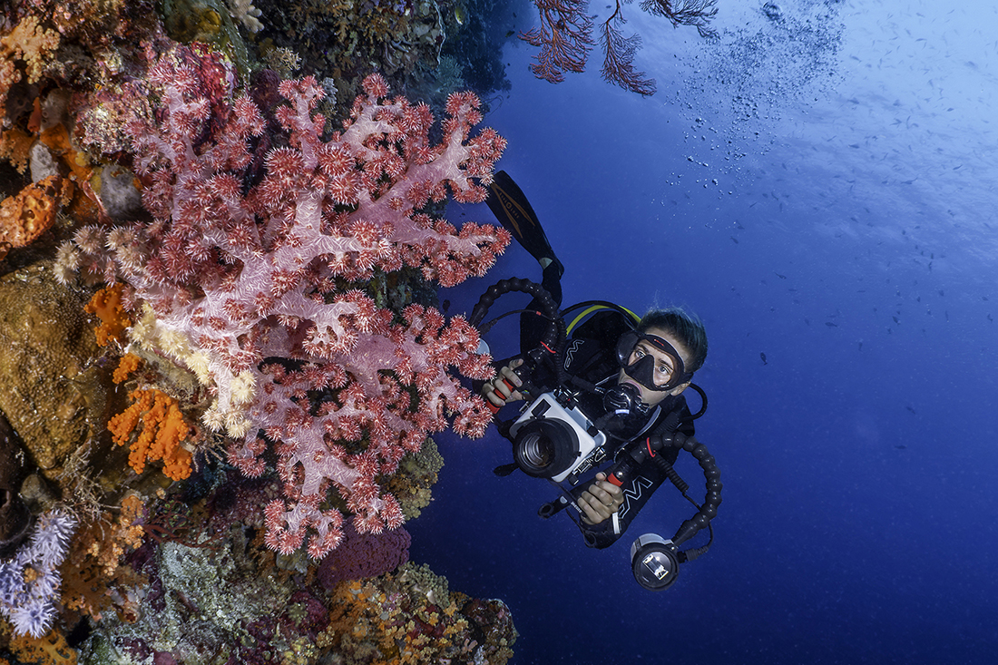 Julia Muller, capturing the “sights” and “sounds” of the reef. Photo by Adrienne Gittus