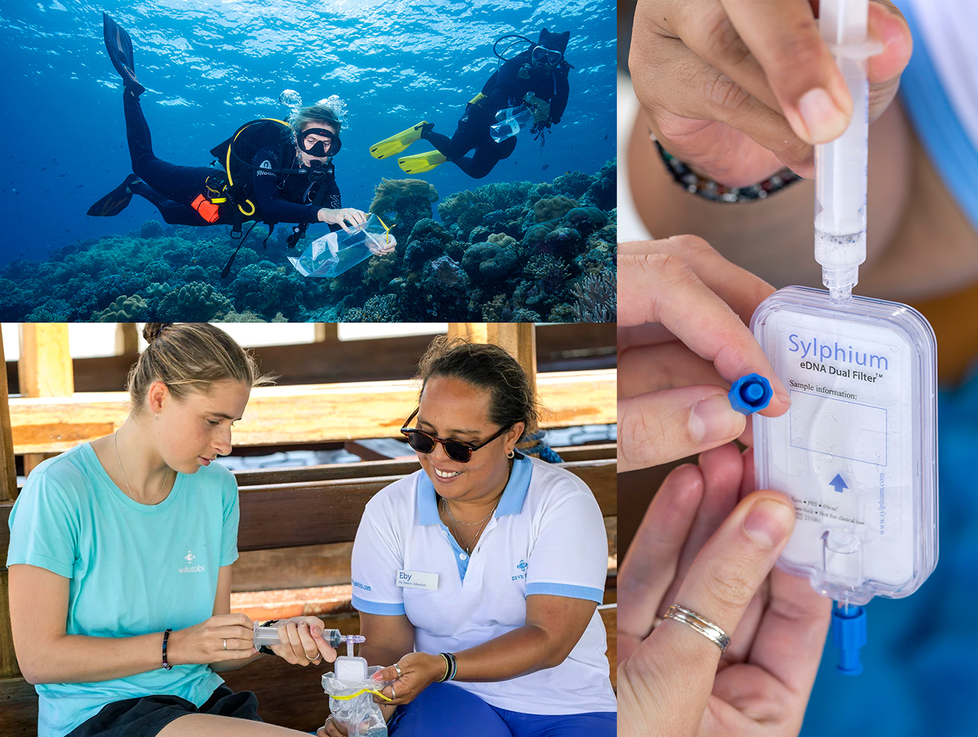 Julia (left) and members of the Wakatobi dive team have started an eDNA survey, which involves taking seawater samples at different depths and filtering them to trap environmental DNA (eDNA) that organisms shed into the water. Here, DEM Eby Rotty and Julia pull samples for analysis. Photo by Adrienne Gittus