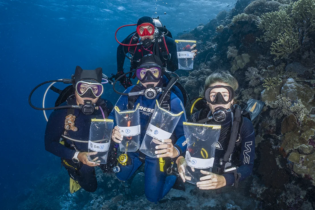 Wakatobi's Reef Angels - Novie Bahri (top), Eby Rotty (left), Ilstra (middle), Julia (right).