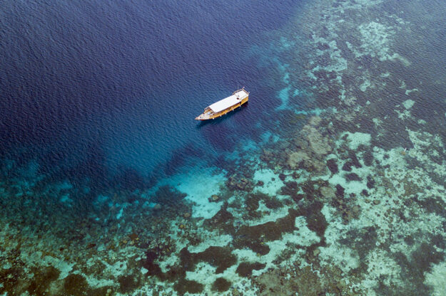 At Wakatobi, many of the reef crests rise to within a few feet of the surface, with outer flanks that drop into the depths, putting snorkelers in a lively zone where reef and open water fish mingle.