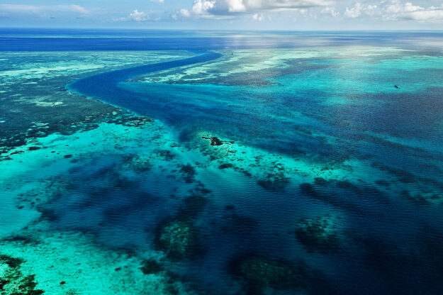 By late 1997 large areas of reef track were placed under official protection and the Wakatobi Collaborative Reef Conservation program was expanded to encompass 20 kilometers of reef. Photo by Didi Lotze