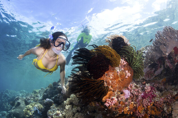 Snorkelers have numerous world-class options to choose from when they don mask and fins and enter the waters of Wakatobi.