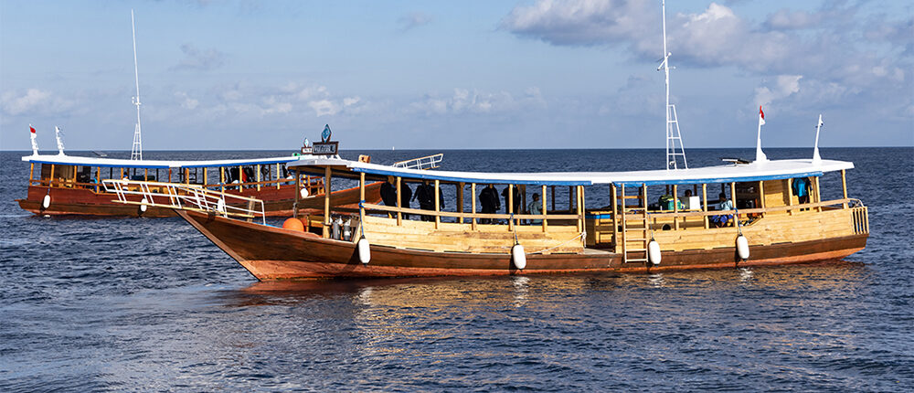 As part of Wakatobi's mission to generate economic benefit for the local community, rather than import factory-built dive boats, we commissioned local boat builders to create our iconic boats. Building locally not only kept revenue within the community, it also provides environmental benefits.