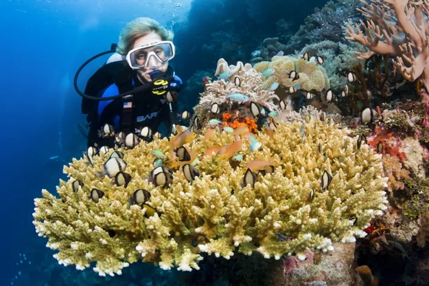 Being introduced to Wakatobi's aquatic realm makes a new diver's experience even more memorable, as it is one of the most vibrant and pristine coral reef ecosystems on Earth. Photo by Walt Stearns