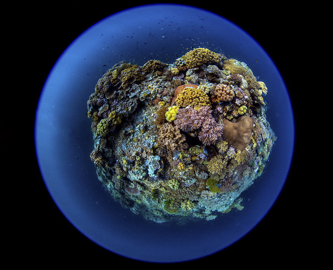 A view of the dive site at Wakatobi called Blade shot from above with a circular fisheye lens by Wade Hughes.