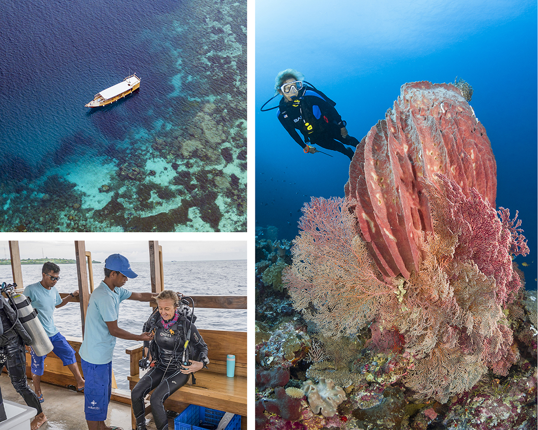 The right destination + the right kind of dive boat = a Wakatobi dive experience.