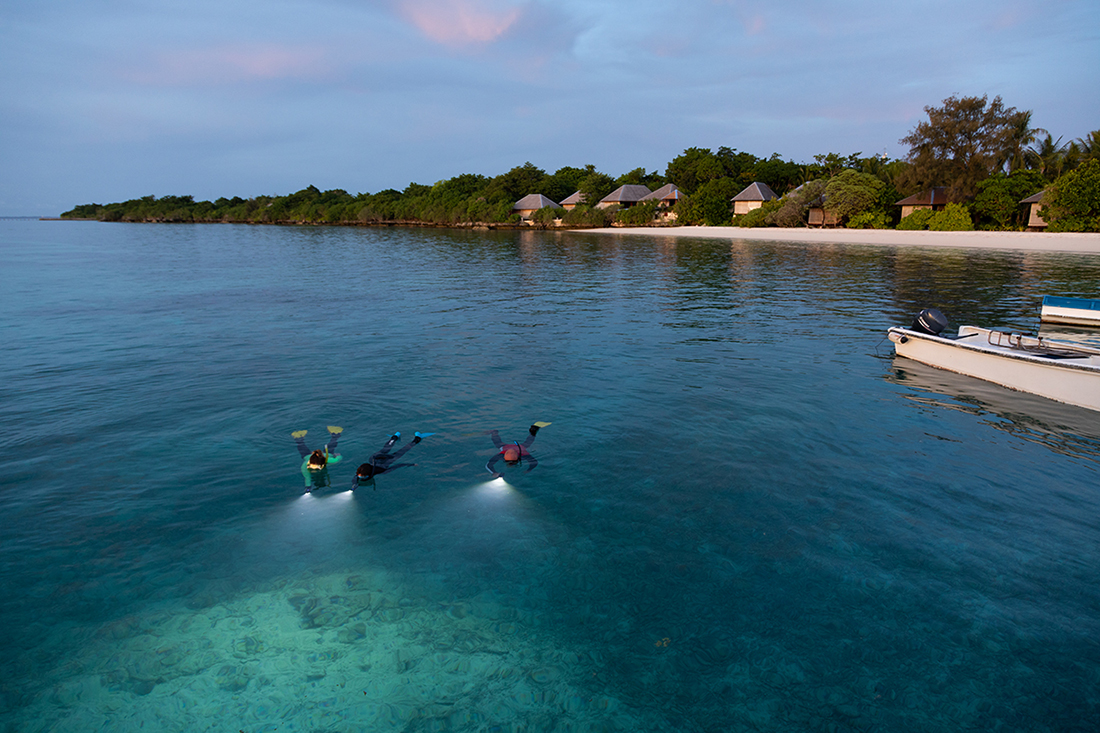 As night falls on Wakatobi’s House Reef, snorkelers prepare for an enchanting rendezvous. Need a dive torch? Our dive center has you covered.