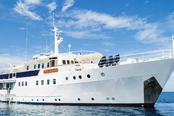 Wakatobi's Pelagian live aboard dive yacht in Southeast Sulawesi Indonesia.