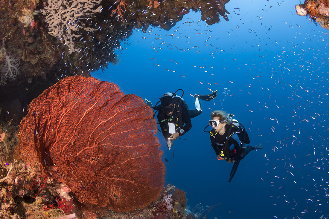 Wakatobi guest with a private dive guide.