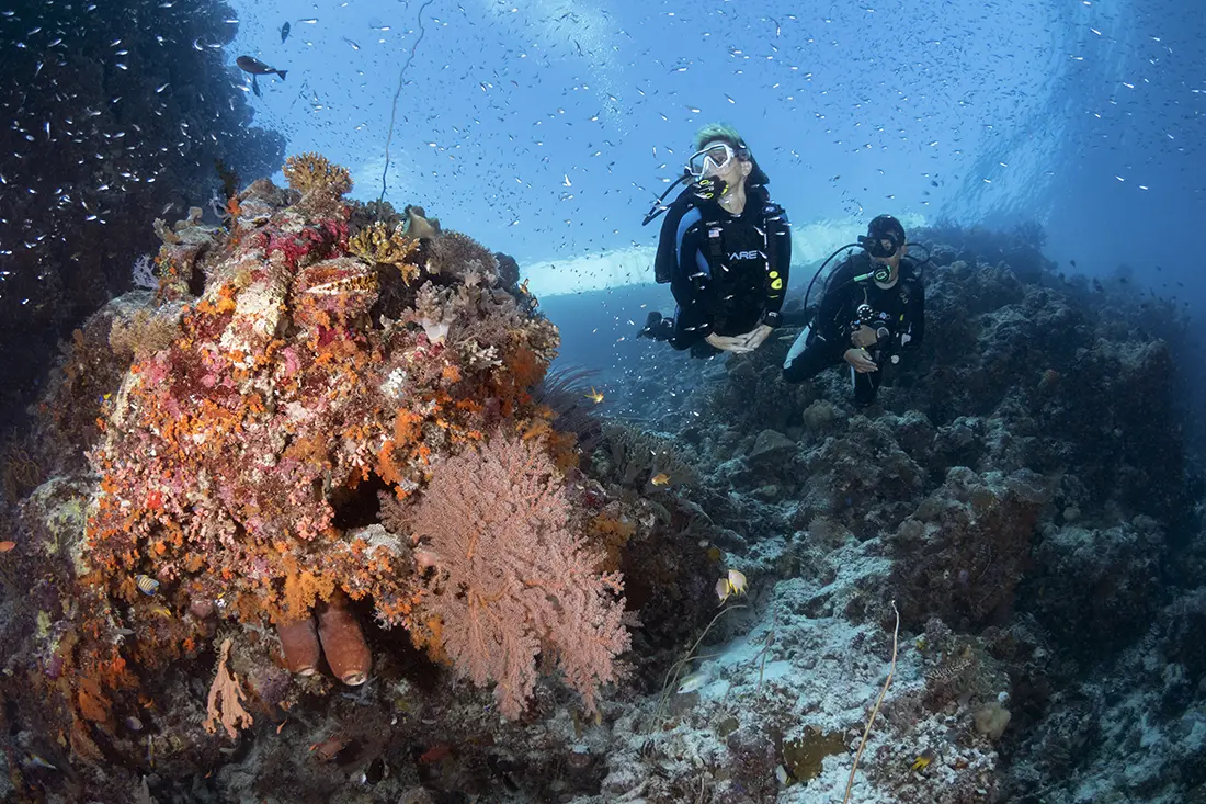 Divers descending down the wall at the end of the jetty on Wakatobi’s House Reef. Photo by Walt Stearns