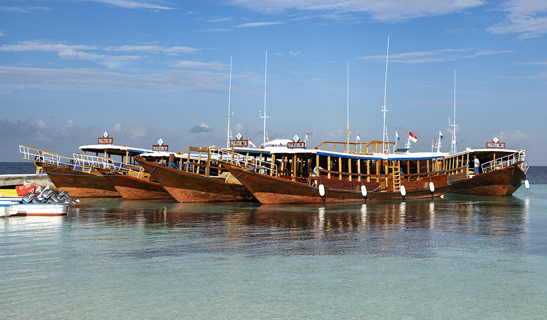 Wakatobi Resort operates a fleet of nine dedicated dive/snorkel boats. In this picture, you can see four of them rafted up to the resort’s jetty preparing for a morning departure with fifth boat coming in to join them.