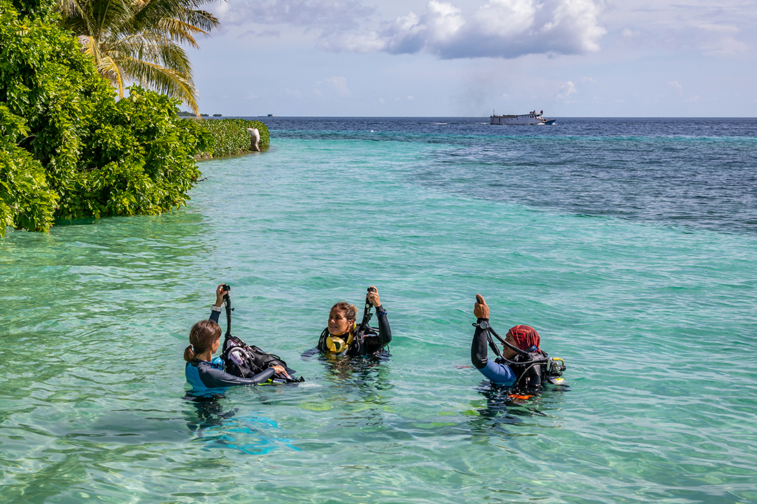 Divers who have been out of the water too long and don't want to jump right in won't need to rehash their skills drills before coming to Wakatobi. They can take a refresher course right on our beautiful House Reef.