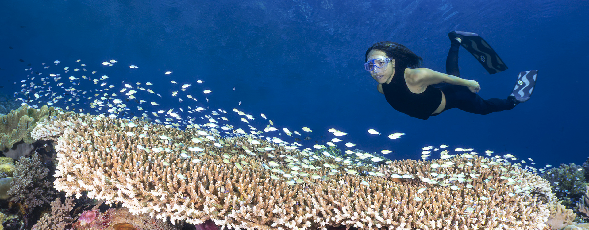 Ai Futaki perusing a healthy coral reef at Wakatobi.