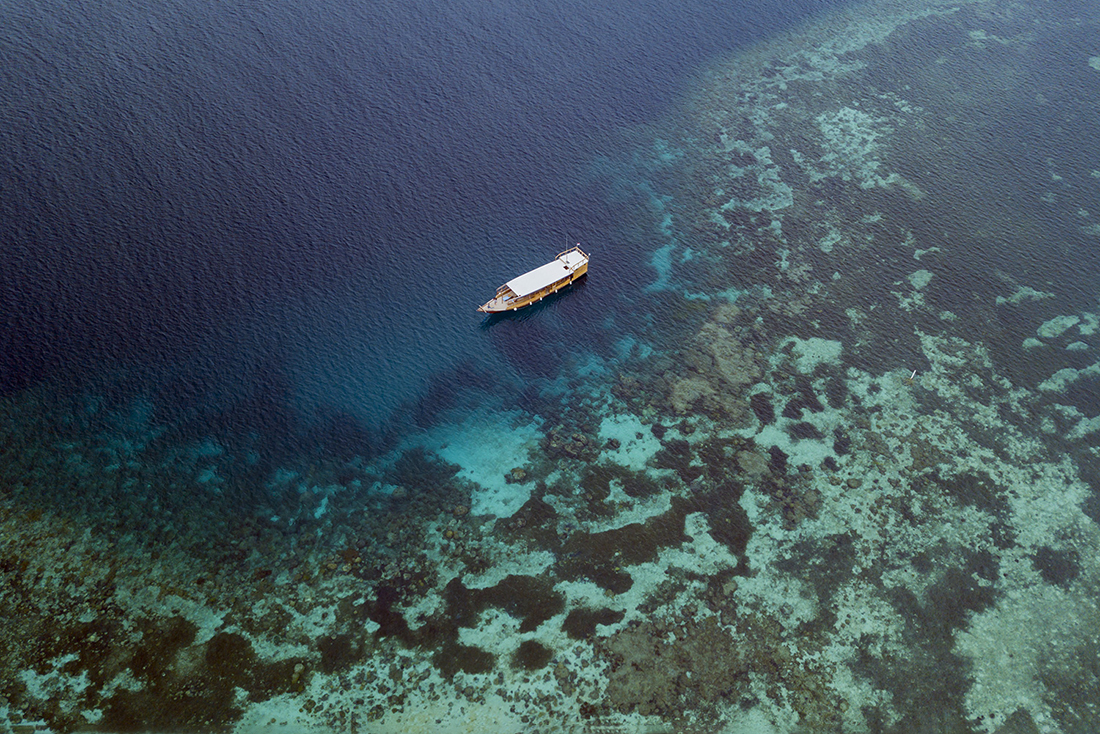 Take a private boat for snorkeling and diving and go where and when you desire. Photo by Wayne Osborn